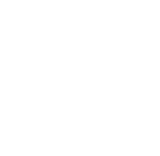 NS3drenders